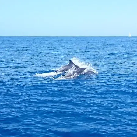 Sealife Krk Διαμέρισμα Krk Town