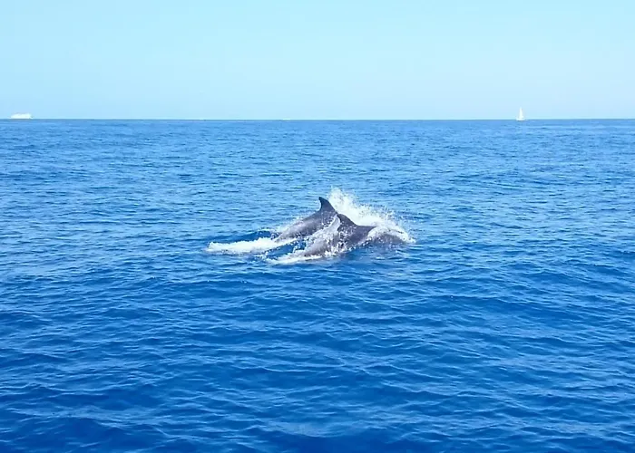 Sealife Krk Διαμέρισμα Krk Town